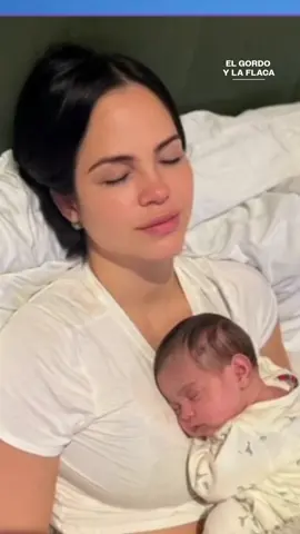 Nadie le quitará su paz, @raphypina02 así lo anuncia 💥 @elgordoylaflaca, de lunes a viernes 4P/3C por Univision #Demanda #DaddyYankee #Clippeo #ElGordoyLaFlaca