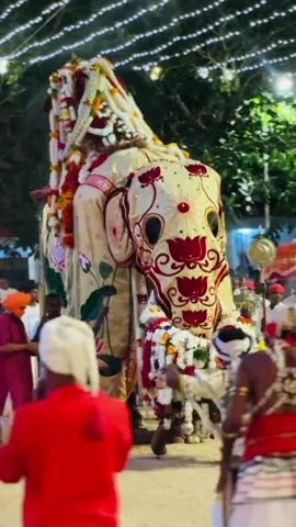 #CapCut #1millionaudition #kataragamaperahera #kataragamawasana 👏🏻👏🏻