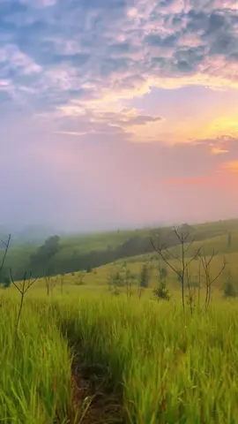 Kalimantan bagian premium😍 ada yang tau ini dimana🤗 #gunungkalimantan #fyp #fyppppppppppppppppppppppp 