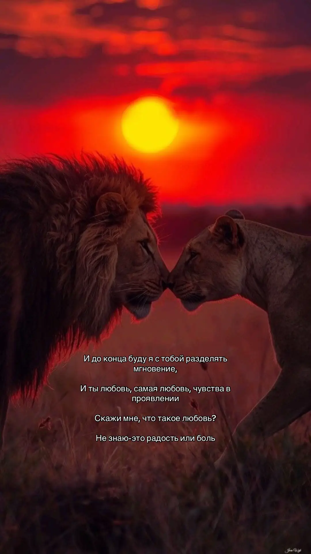 #music #rek #userx07771 