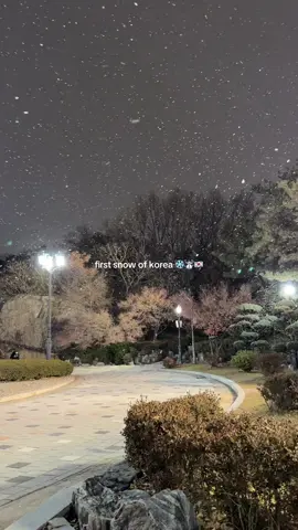 the unexpected snow made me so happy I couldn’t stop smiling even in the freezing cold #koreauniversity #fypシ #snow 