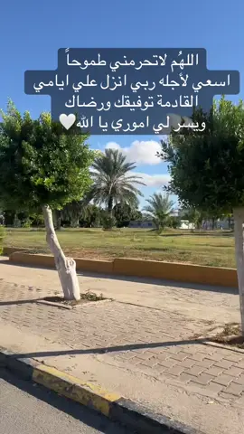 #سرتنا_سرت_ليبيا💚🌻🔥🦅💚 