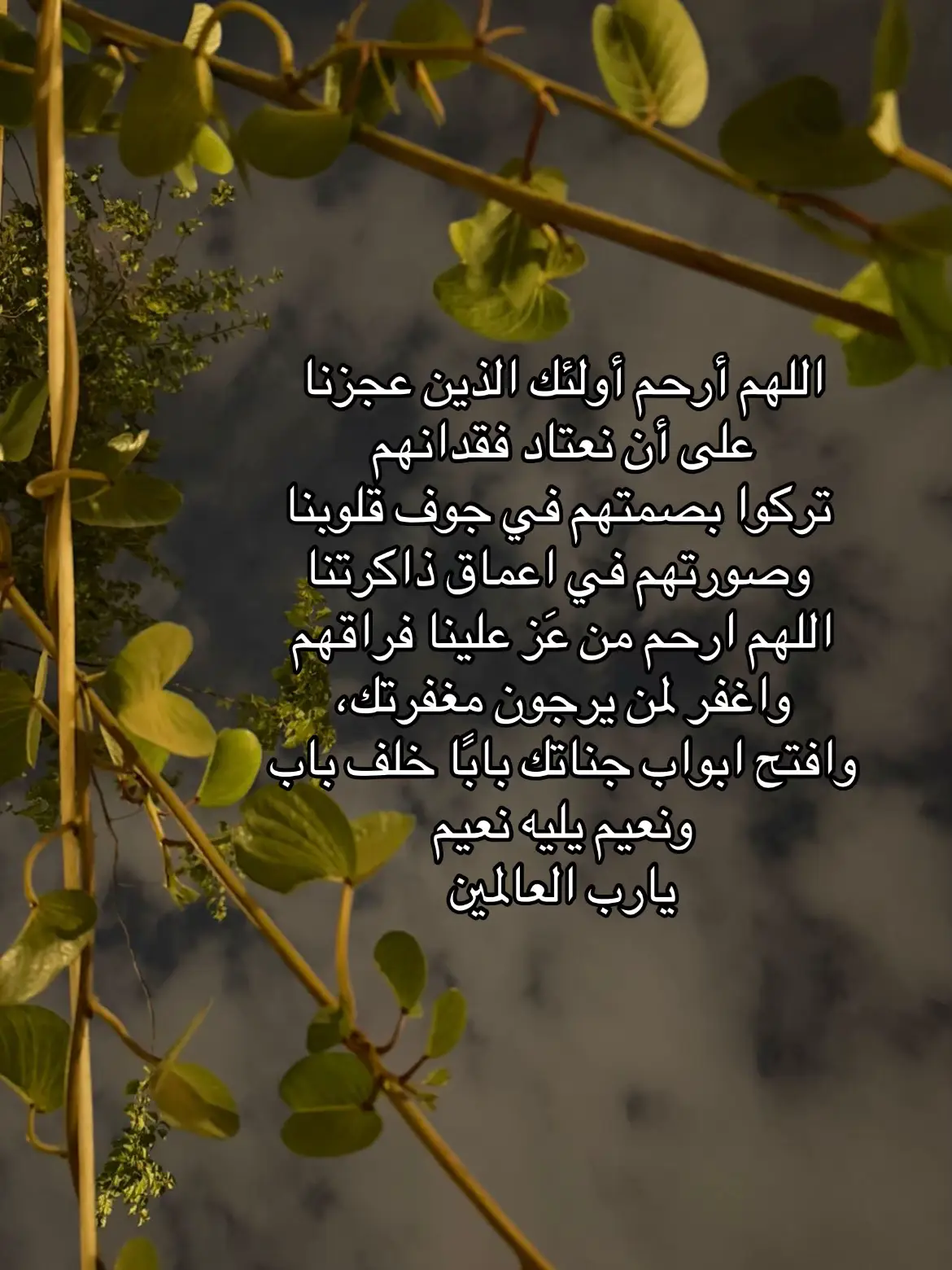 #صدقة_جارية #رحمك_الله #قران_كريم #تلاوة_خاشعة #اكسبلور 