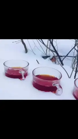 المشروب المفضل🙏🏻#شاي#جاي #tea #likes #likes 