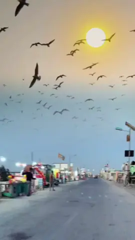 #สตอรี่ความรู้สึก #CapCut #fyp 