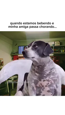 situação caótica  #fyp #memesbr #humor #viral 