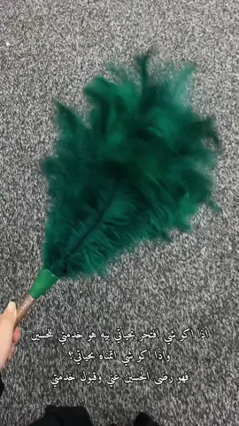 الحَمدلله الذي وفقنا لخدمة أىمة المعصومين #تيك_توك_اطول #حسين #خدمة #viralvideo #العتبة_العباسية_المقدسة 