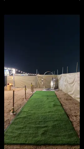 #fyp #liwa #مخيمات #foryou #مالي_خلق_احط_هاشتاقات 