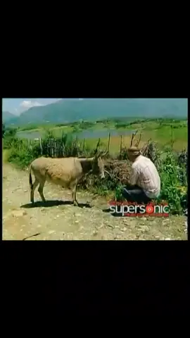 #viral #viral #🤣🤣 #fyyp 