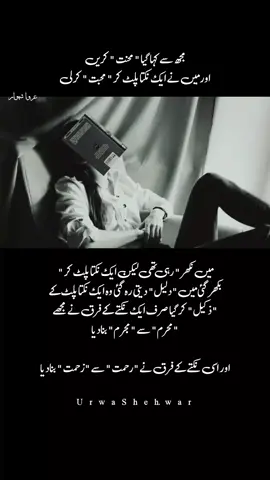 #creatorsearchinsights #urwashehwar #NewRealsStutes #1000millionsviewsviralvideo 