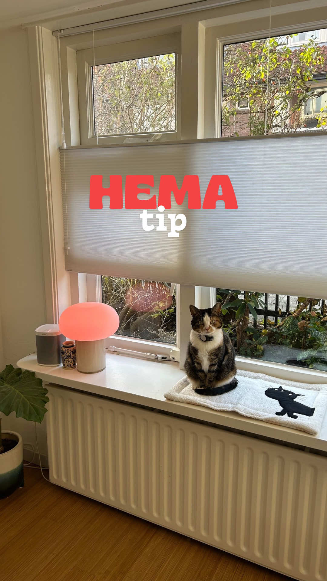 het is niet alsof ze niet al 16393 andere ligplekjes hebben maar goed voor de katjes doen we alles 🙃 @HEMA #katten #hema #nospon