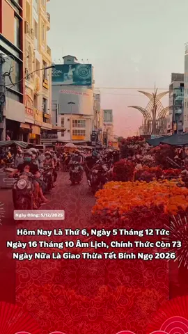 Còn 74 ngày nữa thôi là tết 2026 rồi #tetbinhngo2026🧧🎆🧨 #thanhthoiluottet #tet2026 #tet #xuhuong 