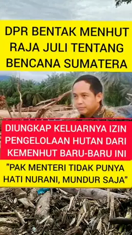 Rajajuli Anthony Menteri kehutanan Termul Anak buahnya Jokowi Harus Di Pecat . #semestatinjunews 