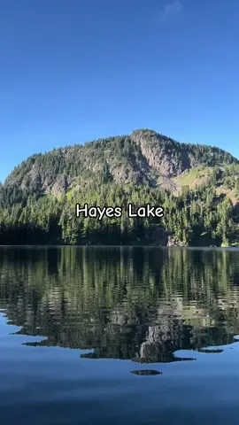 🌲🌲🌲☀️ Bring back Summer! .• .• .• #fyp #scenery #wildernesstherapy #naturevibes #lake 