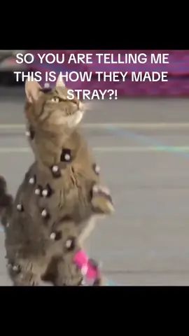 THIS IS ADORABLE OMG #fypppp #xcyzba #viral #fyp #foryou 