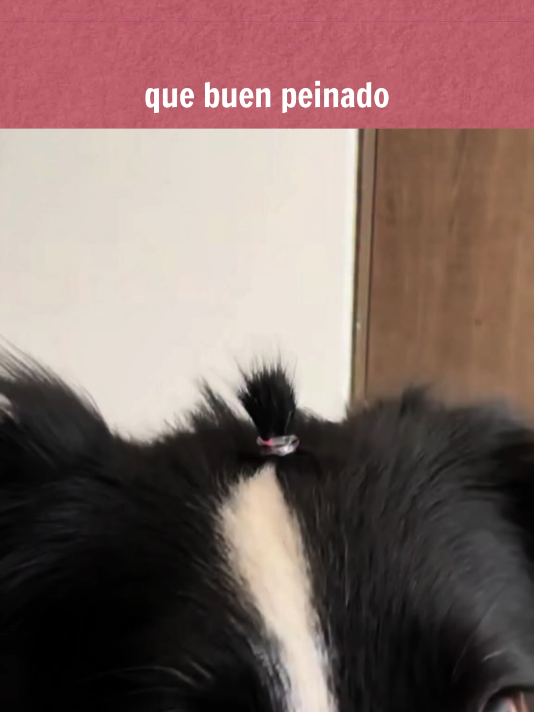 hermoso el peinado a