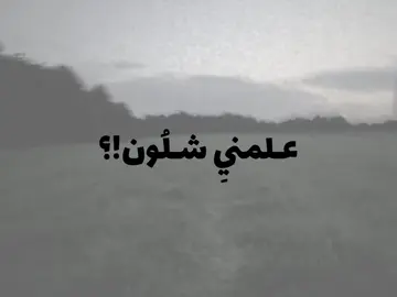 كل شي عباس | محمد الحجيرات#محمد_الحجيرات #اللهم_صل_على_محمد_وآل_محمد #كربلاء #باسم_الكربلائي_خادم_لن_يتكرر 