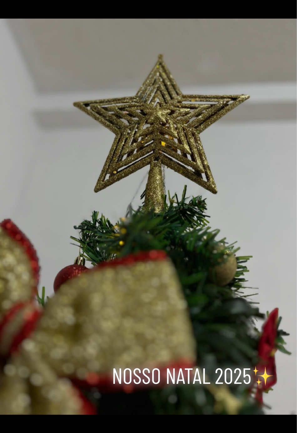 MONTANDO NOSSA ÁRVORE DE NATAL 2025 ✨  ATÉ UMA ÁRVORE DE NATAL JÁ FOI UM SONHO 🥹🫰🏼 #arvoredenatal #natal #meuamor❤️ 