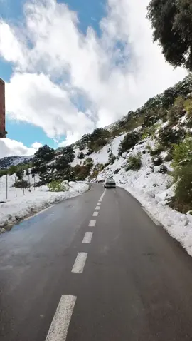 #algérie🇩🇿 #kabylie #pourtoi #creatorsearchinsights 