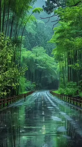 ..خيرآ فعلت أم شرآ... تاكد أنه سيعود لك ذات يوم .. #عباراتكم_الفخمه📿📌  #اقوال  #اقوال_وحكم_الحياة_ونصائح  #اقتباسات_عبارات_خواطر🖤🦋❤️  #اكسبلورexplore 