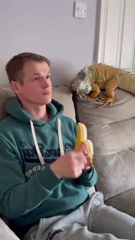 Buddy said: ‘I’ll take it from here 😂 