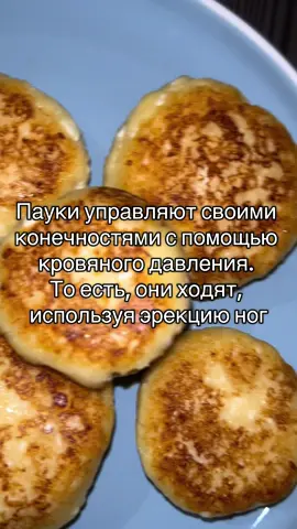 #fyp #мысливслух #еда 