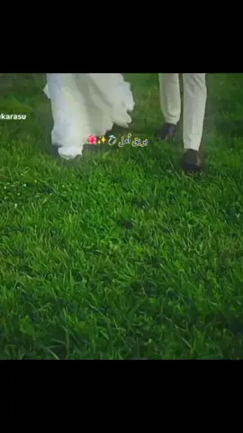 مكبد ويحب 👰‍♀️🤵 مجرد------- ذوق 🎶 💞 #اغاني ليبية 🎵 🎤 🎼 #شعب_الصيني_ماله_حل😂😂 #اعلي_نسبه_مشاهدة #دعمكم_لايك_ومتابعه_واكسبلور_حته_استمر #ترند_تيك_توك 