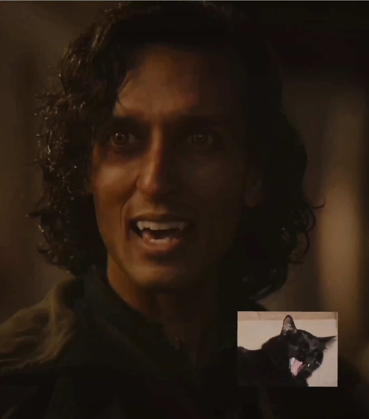 but he’s still cute sooooooooo what now … #armandedit #assadzamanedit #iwtv #fyp #devilsminion 