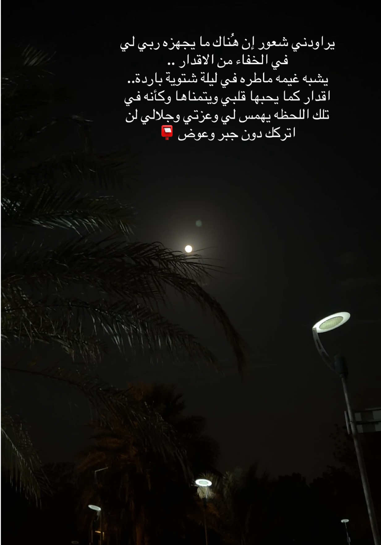 عوض الله جميل  #تصويري #اكسبلور #ترند #خواطر #الحمدلله_دائماً_وابداً 