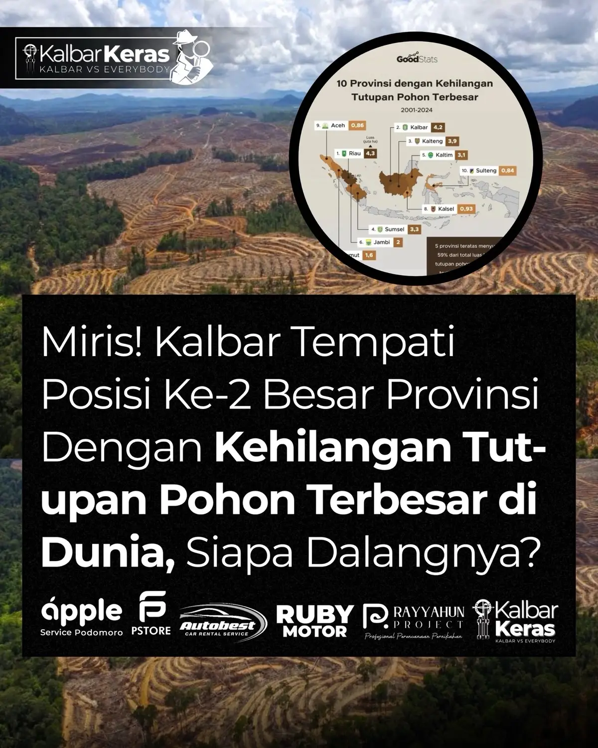 Data Global Forest Watch yang diolah GoodStats mencatat Kalbar kehilangan sekitar 4,2 juta hektare tutupan pohon pada periode 2001–2024.  Angka ini menempatkan Kalbar di posisi peringkat 2 (nasional), di bawah Riau dan Kalbar. Hilangnya hutan dalam jumlah besar bukan hanya merusak ekosistem, tetapi juga meningkatkan risiko banjir dan longsor, seperti yang baru-baru ini terjadi di wilayah Sumatera.  Tanpa pohon yang menahan air, tanah lebih mudah tergerus dan aliran permukaan melonjak ketika hujan deras. Empat provinsi di Kalimantan—Kalteng, Kaltim, Kalbar, dan Kalsel—sama-sama masuk daftar 10 besar kehilangan tutupan pohon, menunjukkan tingginya tekanan terhadap hutan di pulau ini. Bagaimana menurut kalian soal kondisi ini dan siapa dalang dibalik fenomena ini? Infografis: @goodstats.id Sumber: Global Forest Watch #kalbarkeras #undercover #ungkapfakta