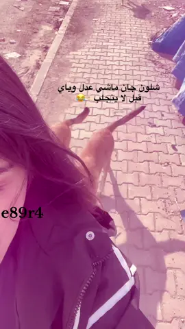 لا شدوها ديربالكم