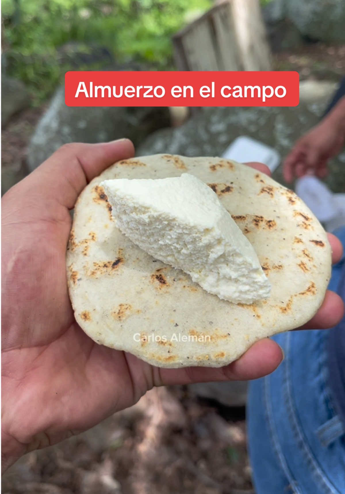 Así almorzamos en el campo humildemente pero delicioso #vidadelcampo #cuajada #almuerzo 