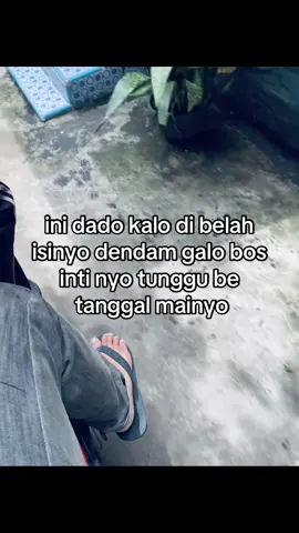 #komering_oku_selatan #palembang 