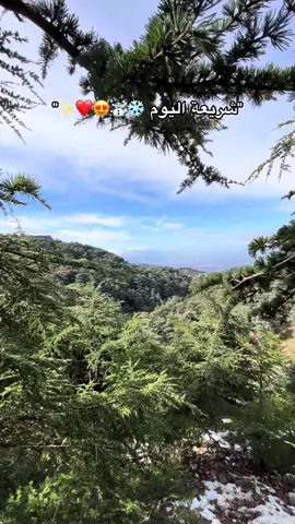 شريعة 😍 #شربعة #snow #snowman #chrea #chrea_blida09 