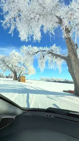 So beautiful ❄️❄️#ကြေကွဲလူငယ်💔🥀 #ငါသေမှပဲfypပေါ်ရောက်မှာလား😑😑 #foryou #foryoupage #everyone 