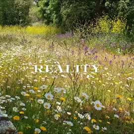 I used to think BP was shallow, but I realized we all just wanted to be loved #fyp #bp #edit @tgk:missof3839sss @Clavicular @andrew ate @K. Shami @ley @CALIFORNIA COOKIE 🌁 @lizka @Zeta @true.ewa @David @ayy14301 @Marlon @Haylie Jade @Thomas 