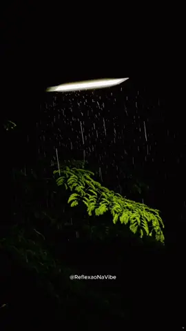 se orgulhe de você... #reflexao #conselhos #viral 