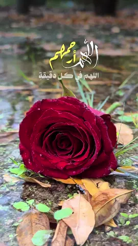 #CapCut #للهم_ارحم_موتانا_وموتى_المسلمين #الجمعة 