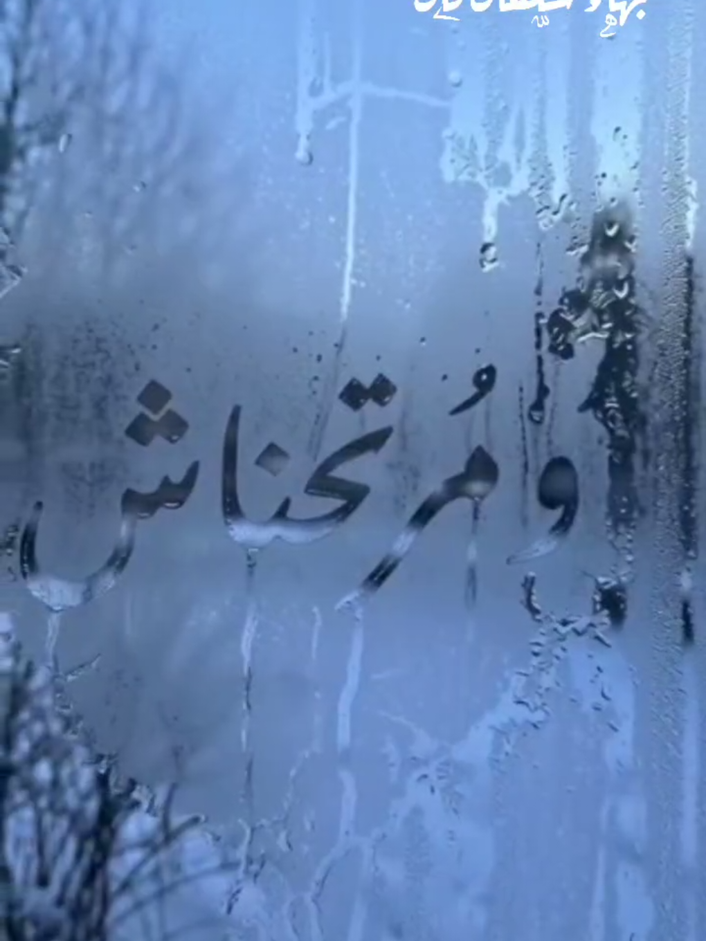 دايما تيجي النهايه  مرتحناش بهاء سلطان  #دايما_تيجي_النهايه  #مرتحناش #بهاء_سلطان #بهاء_سلطان_فان 