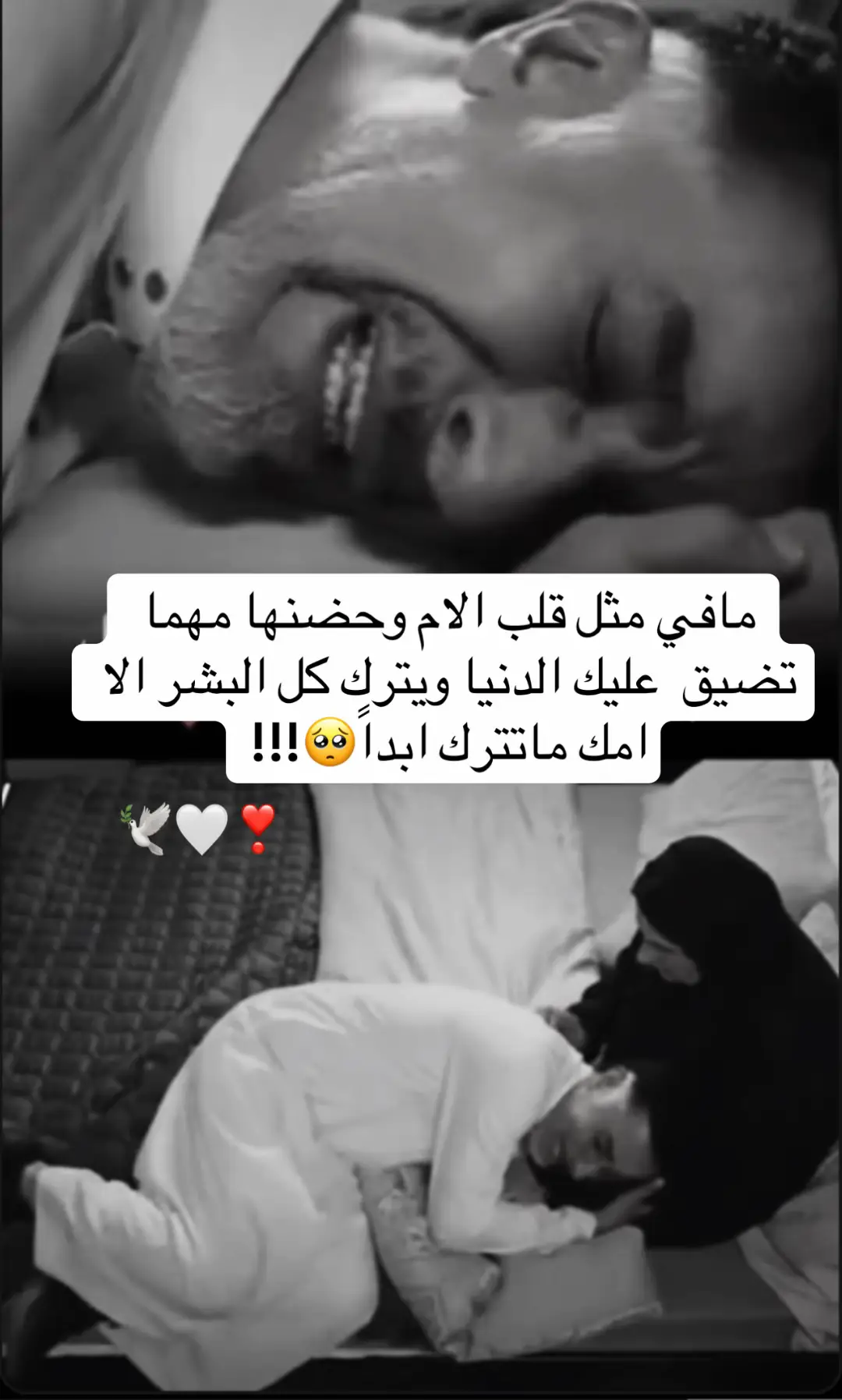 #اكسبلورexplore #🕊️الرياض🤍❣️ #فعلا👌❤❤ #🥺🥺 