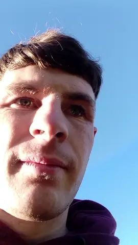 #silage #grass #fyp #calves #cattle 