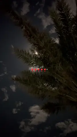 #تصويري📸 #fypシ゚ #explore #fffffffffffyyyyyyyyyyypppppppppppp #4u 