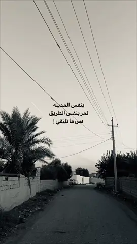 #قرية_الخان #fyp #foryou #funny #foryoupage 