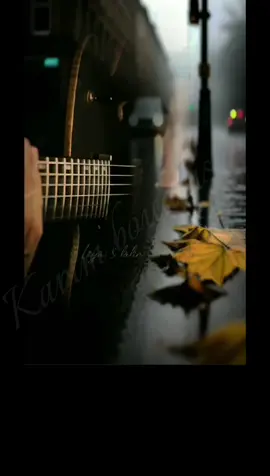 #شاب_حسني عييت صابر والله مقديت❤️‍🩹💔