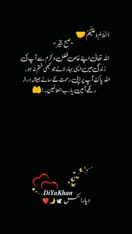 AmEEn 🤲❤️🤗 GoOd mOrning everyone 🌄💐🥀✨ #likeproblem😓 #viewsproblem😭 #dontunderreviewmyvideo #plzunfrezemyaccount #_diya_writes 