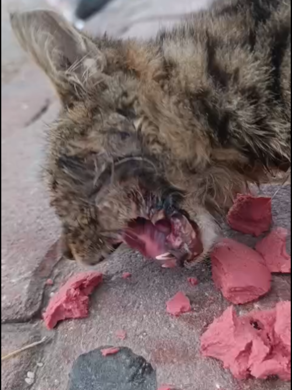 bugün bu çocuğu görmezden  gelmedim.kalbimle gurur duyuyorum....İYİ OLACAKSİN COCUK#bulbeni #fypシ゚viral #KESFET #benionecikar #fyppppppppppppppppppppppp 