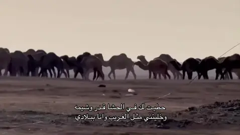 #اكسبلورexplore #الشعب_الصيني_ماله_حل😂😂 #شعر #قصايد #fypシ゚ 