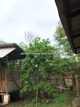 ndak og🫡#peternakmuda #fyp #History 