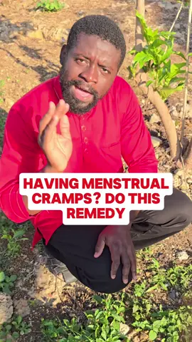 Boil Blue Vervain When This Happens... #holistichealing #healthyhabits #eliyahmashiach 