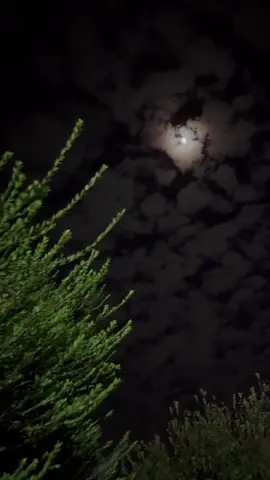 😍🤍 . . . #fypシ #moon #viral #🖤 #🪐